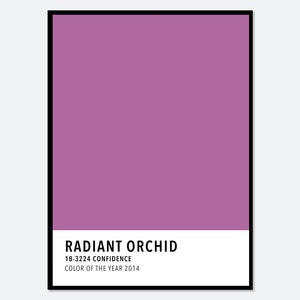 Impressão artística em cartão colorido roxo Orquídea Radiante | Impressão em paleta de cores, impressão em bloco de cores, cor do ano de 2014, impressão artística moderna e colorida nº CC27