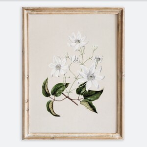 Vintage fleur botanique feuillage dessin nature morte impression d'art mural, esquisse florale neutre rustique, affiche de ferme minimaliste antique VP120