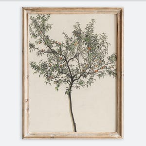 Vintage Europäische Rustikale Neutrale Obstbaum Skizze Zeichnung Wand Kunst Druck, Minimalistisches Baum Poster, Antikes Stimmungsvolles Einfaches Landschaftsdekor VP182