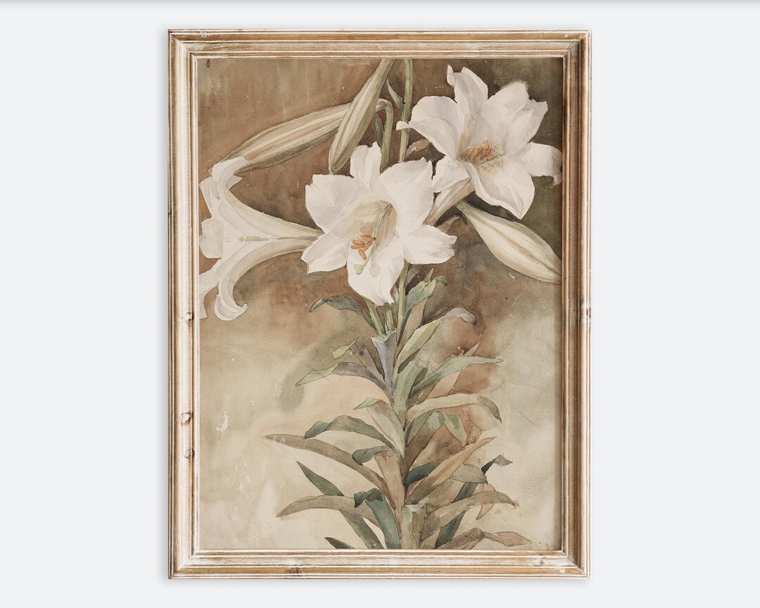 Vintage Easter White Lily Flowers Wall Art Print | Antique Botanical ...