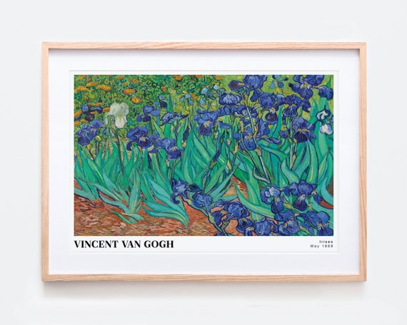  Figured'Art Paint by Numbers for Adults Van Gogh Iris 16x20 -  Craft Art Painting DIY Kit Rolled Canvas Without Frame