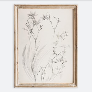 Vintage botanische Blumen-Laubzeichnung Stillleben Wand-Kunstdruck, rustikale neutrale Blumenlinie Kunst-Skizze, antikes Bauernhausplakat VP261