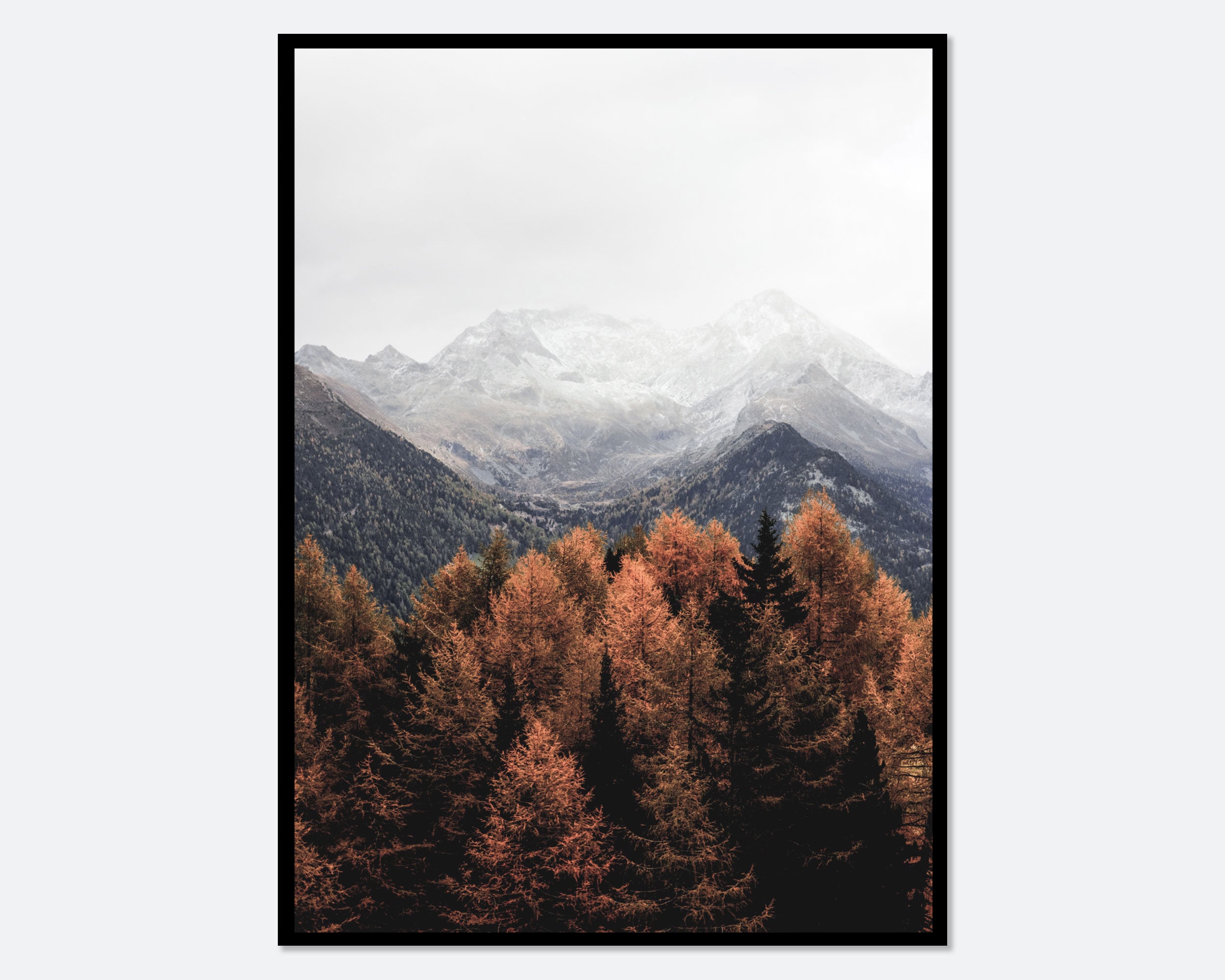 Autumn Leaves Forest Mountain Art Print | Nature Photography, Fall ...