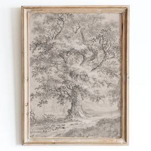 Vintage European Rustic Neutral Oak Tree Pencil Sketch Drawing Wall Art Print, Tree Line Poster, Antique Moody Neutral Landscape Decor VP75