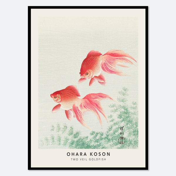Ohara Koson Two Veil Goldfish Vintage Japanese Woodblock Poster Wall Art Print | 小原古邨, Red Retro Japanese Asian Antique Animal Decor #JP40