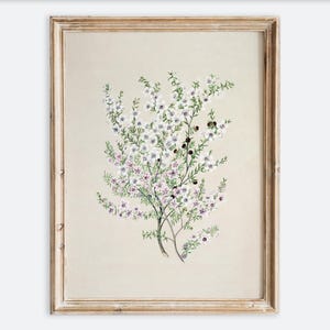Vintage fleur botanique feuillage dessin nature morte impression d'art mural, croquis floral neutre rustique, affiche de ferme minimaliste antique VP119