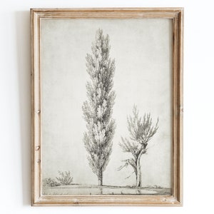 Vintage Tree Sketch Art Print, Rustic Vintage Art Print, Vintage Tree Drawing, Neutral Landscape Vintage Poster, Jean Victor Bertin VP03