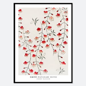 Watanabe Seitei Cherry Blossom from Bijutsu Sekai Vintage Japanese Woodblock Flowers Art Print | Japanese Art, Japanese Poster 渡辺省亭美術世界 JP12