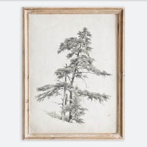 Vintage Europäische Rustikale Neutrale Bäume Bleistiftskizze, Wandkunst Druck, Minimalistisches Baumplakat, Antikes launisches Landschaftsdekor VP185