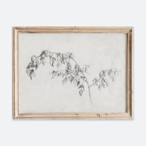 Impresión artística de pared con dibujo a lápiz de rama de zarzamora neutra rústica europea vintage, póster con ilustración de planta frutal antigua de mal humor VP186