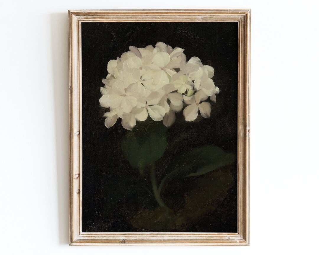 European Vintage White Hydrangea Flowers Still Life Wall Art Print ...