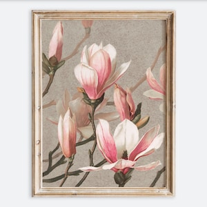 Impression d'art mural botanique vintage fleurs de magnolia rose rustique, affiche de dessin floral coloré, décoration de peinture de ferme de mauvaise humeur antique VP328