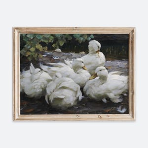 European Vintage Resting White Ducks by Pond Animal Portrait Painting Wall Art Print, Rustic Farmhouse Antique Nature Nursery Poster VP168