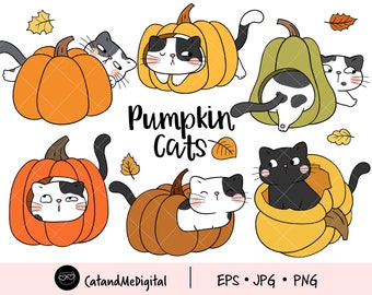 Pumpkin cat clipart Fall clipart Autumn clipart Animal fall clipart Pumpkin black cat Halloween cat png Kitten clipart Cat lover Autumn gift