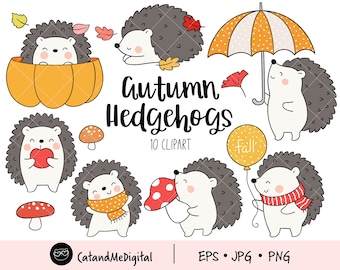 Hedgehogs cliparts Hedgehogs png Autumn clipart Animal clipart Woodland animal clipart Autumn png Pumpkin Mushroom PNG JPG