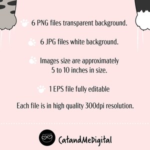 Cat bubble tea clipart Boba tea clipart Tea clipart Cat clipart Funny cat png Cat lovers Kawaii drink png Cat illustration PNG JPG EPS image 3