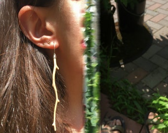 Long Petrified Coral Earrings