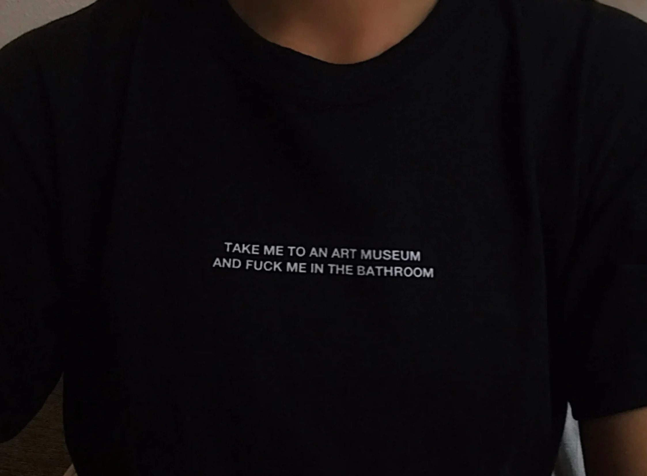 Take Me to an Art Museum Shirt , and Fuck Me in the Bathroom T