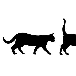 Cat Family Vinyl Decal Sticker for window,car,van,laptop,etc.