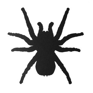 Spider Vinyl Aufkleber Aufkleber für Fenster, Auto, Van, LKW, Laptop, etc.