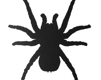 Spinne Vinyl Aufkleber Aufkleber für Fenster,Auto,Lieferwagen,Laptop,usw.