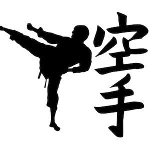 Karate Fighter Vinyl Decal Sticker for window,car,truck,van,etc.