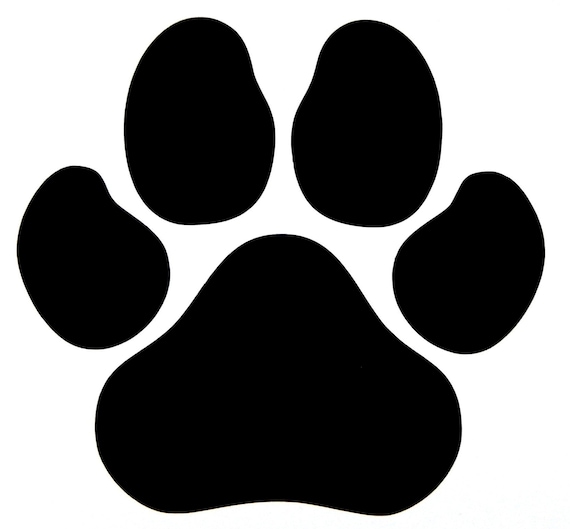 Sticr Bomb Vinyl Paws On Board Decal Bumper, Decal For Car Truck Computer Anywhere Premium 6 Year Outdoor White 3