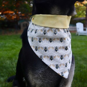 Honeybee Bandana (Reversible)