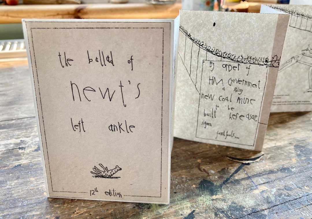 The Ballad of Newts Left Ankle HANDMADE CONCERTINA ZINE Etsy