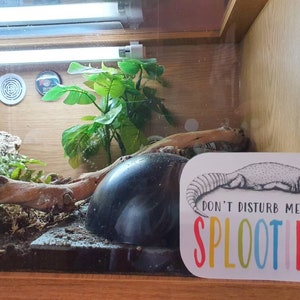 May include: A white sign with a black and white illustration of a lizard with the text "Don't disturb me, I'm splooting" in rainbow colors.