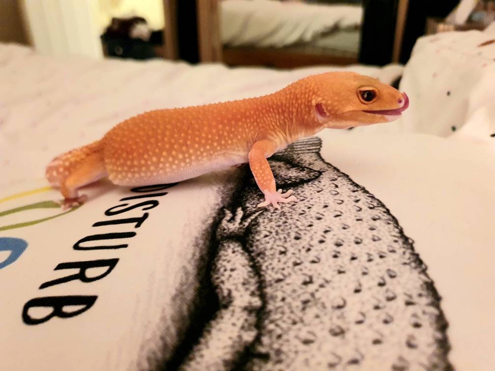 Leopard Gecko Splooting Cushion Leopard Gecko Accessories Etsy