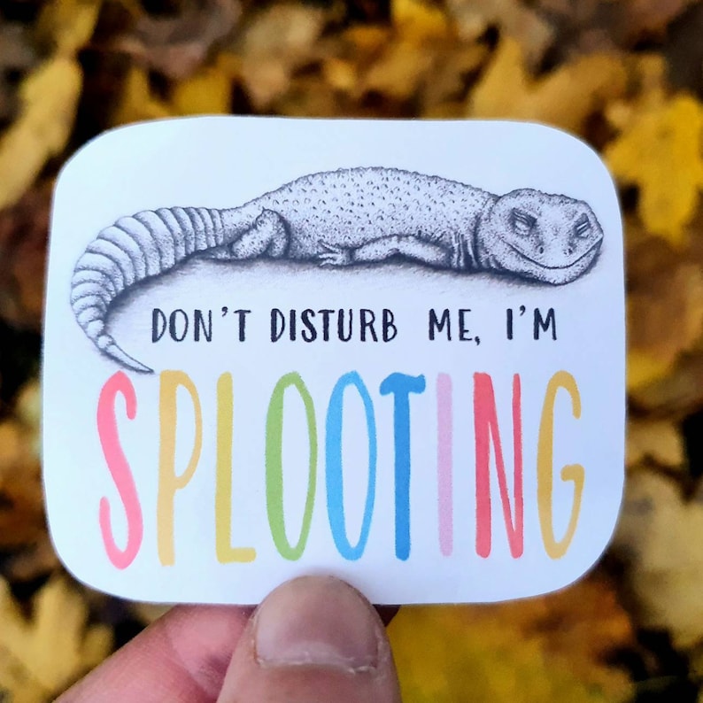 May include: A white sticker with a black and white illustration of a lizard with the text "Don't disturb me, I'm splooting" in rainbow colors.