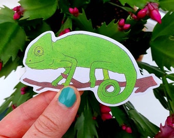 Chameleon Sticker (Pack of 4), Chameleon Decor, Chameleon Decal, Chameleon Gifts, Chameleon Art, Reptile Gifts, Reptile Stickers