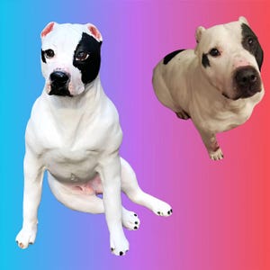 personalisiert haustier figur，Hundeskulptur, benutzerdefinierte haustier portrait figuren, Hundestatue, Hundefigur, Katze Verlust Geschenke