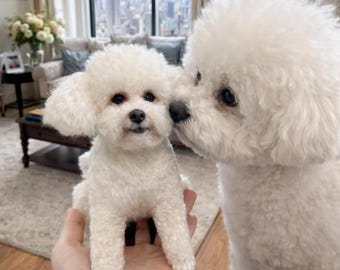 Custom Needle Felted Dog Portrait, Personalized Wool Dog Sculpture from Photo