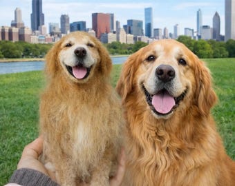 Custom Needle Felt Pet Replica, Realistic Dog or Cat Sculpture Gift