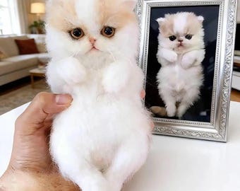 Custom Needle Felted Cat Portrait, Personalized Wool Cat Sculpture from Photo