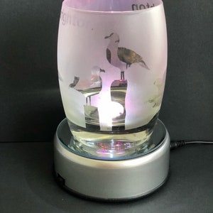 Etched seagull Glass