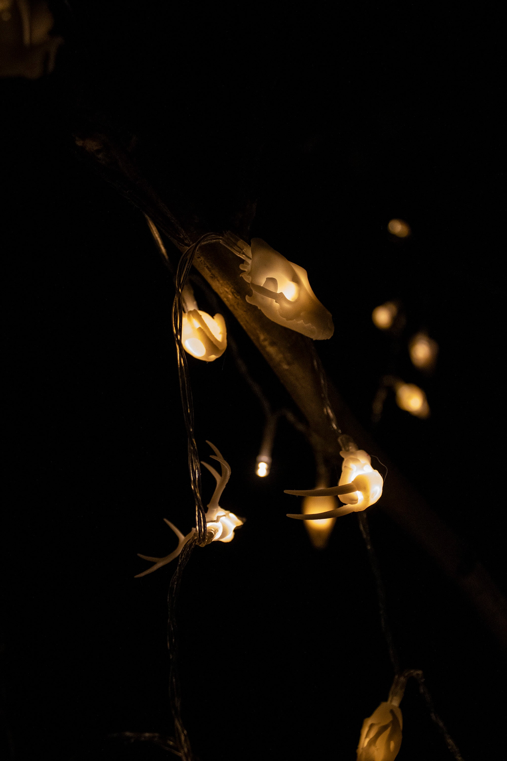 Tiny Lights Etsy UK