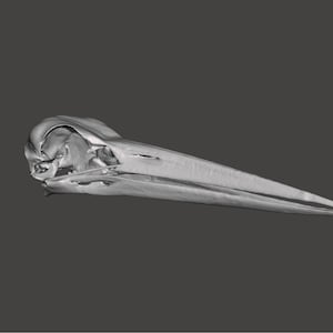 White Stork (Ciconia ciconia) Cranium and Jaw - 3D Printed Resin Replica
