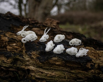 Mammal Skulls with Hoop (Jewellery Making) - 3D Printed Miniature Resin Replicas