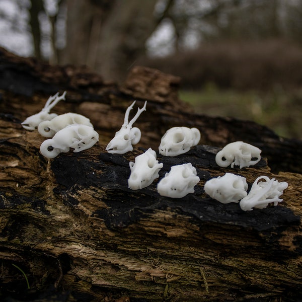 Mammal Skulls with Hoop (Jewellery Making) - 3D Printed Miniature Resin Replicas