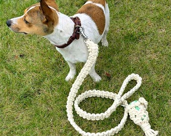 Make your own Knotted Dog Lead / Dog Leash Kit.