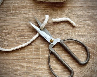 Scissors sharp pointed nose