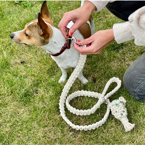 May include: A white cotton rope dog lead with a brown leather collar on a small white dog. The lead has a knotted handle and a decorative knot at the end.