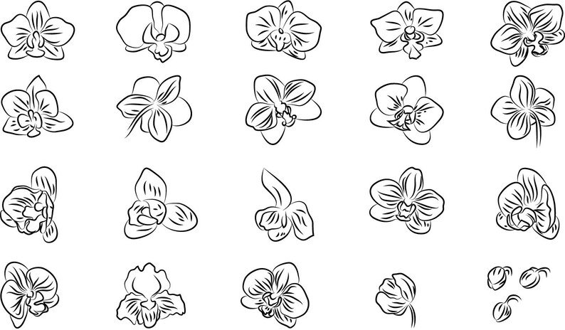 Clip Art Orchid Svg Bundle Flat Flowers Clipart Flower Vector Stencil Cut For Silhouette Cricut Vinyl Svg Png Dxf Eps Flower Icon Svg Art Collectibles