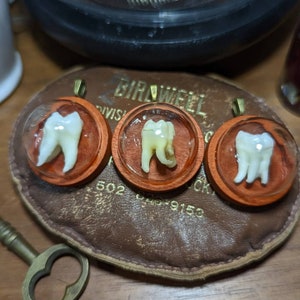 Human Tooth Framed Pendant