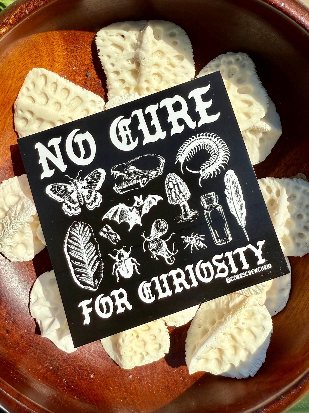 No Cure for Curiosity Sticker – Oddities and Curiosities Vinyl Sticker