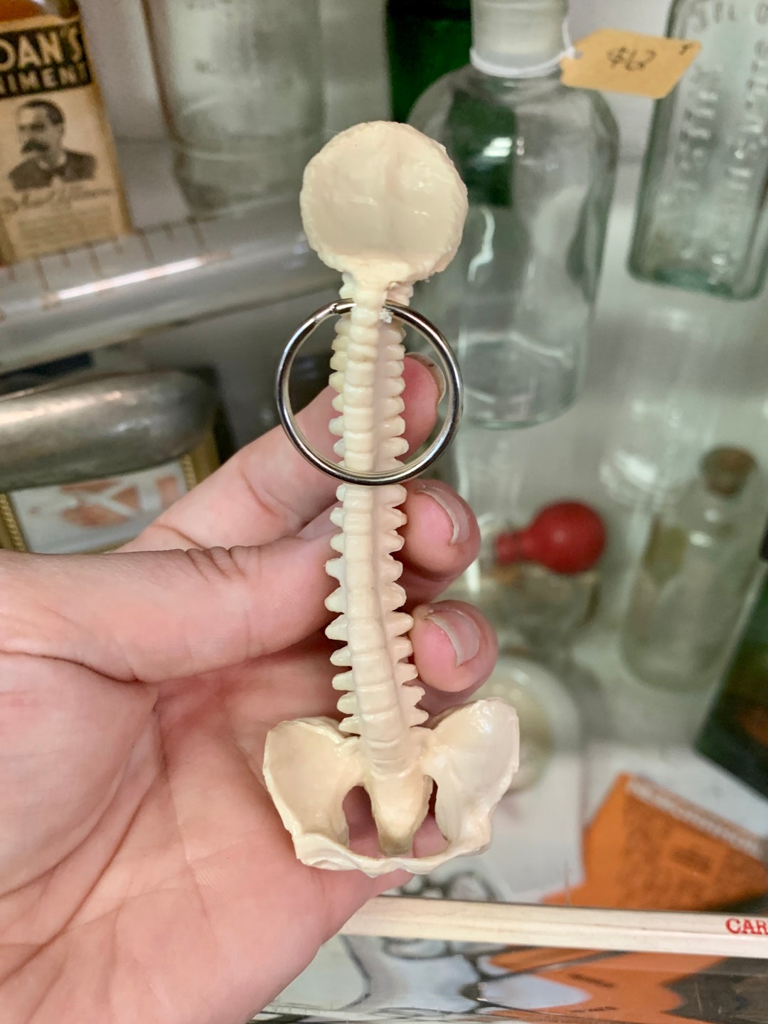 Bone Spine Keychain Mannequin Plastic Cartoon Pvc Chiropractor Nurse Rings
