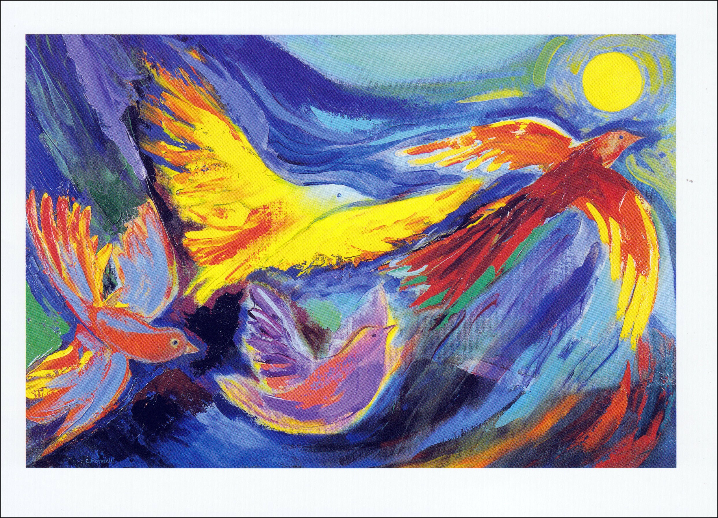 MULTIPACK Premium Blank Greetings Cards Pack of 10 the Etsy UK